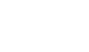 logo white